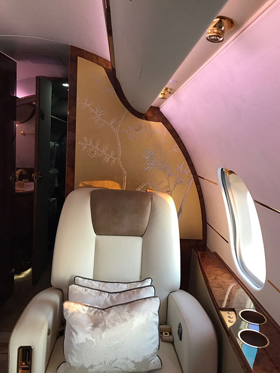 de Gournay Portobello, Private Jet, hand painted wallpaper, gilded paper