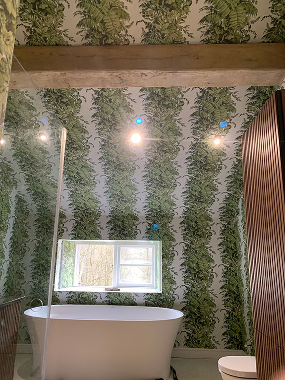 Allyson McDermott, Fernery, Gloucester, contemporary, lush green ferns wallpaper